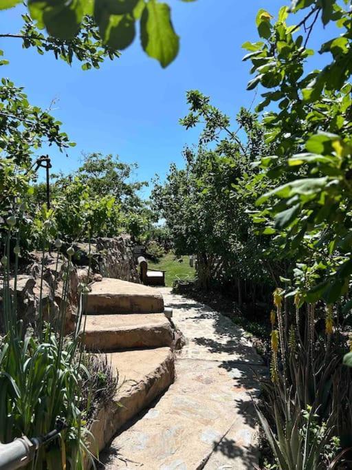 Lilly'S Finca - Romantischter Rueckzugsort - Pool Vilaflor Exteriör bild