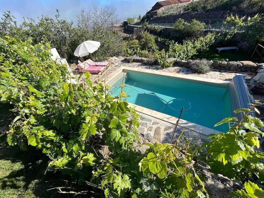 Lilly'S Finca - Romantischter Rueckzugsort - Pool Vilaflor Exteriör bild